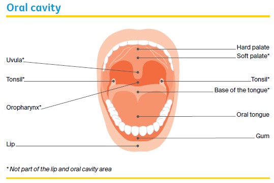 Oral cavity